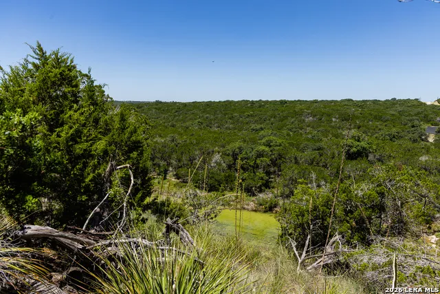 165 CHERRY SPRINGS RD Hunt, TX 78024