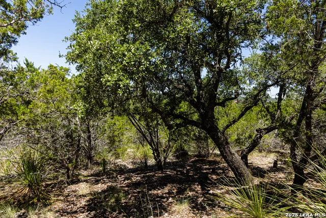 165 CHERRY SPRINGS RD Hunt, TX 78024