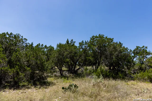 165 CHERRY SPRINGS RD Hunt, TX 78024