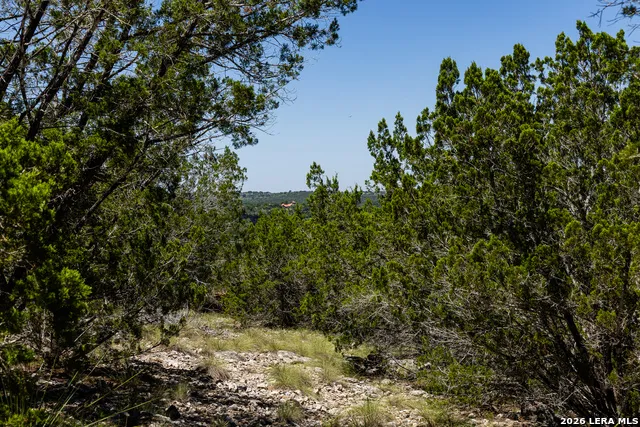 165 CHERRY SPRINGS RD Hunt, TX 78024