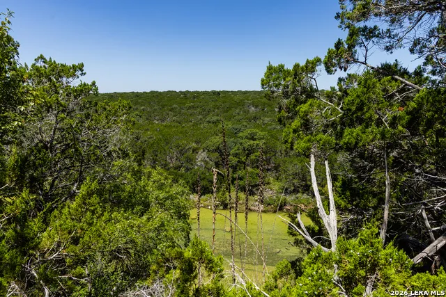 165 CHERRY SPRINGS RD Hunt, TX 78024