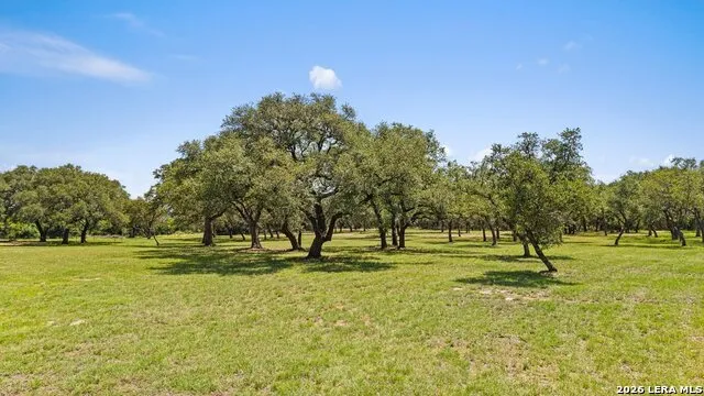 118 CRESTVIEW DR Johnson City, TX 78636