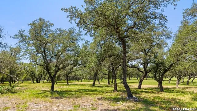 118 CRESTVIEW DR Johnson City, TX 78636
