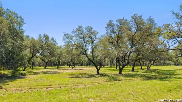 118 CRESTVIEW DR Johnson City, TX 78636