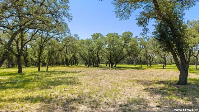 118 CRESTVIEW DR Johnson City, TX 78636