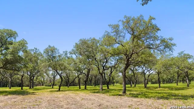 118 CRESTVIEW DR Johnson City, TX 78636