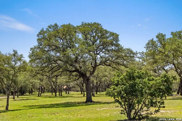 118 CRESTVIEW DR Johnson City, TX 78636