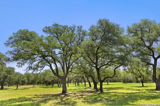 118 CRESTVIEW DR Johnson City, TX 78636