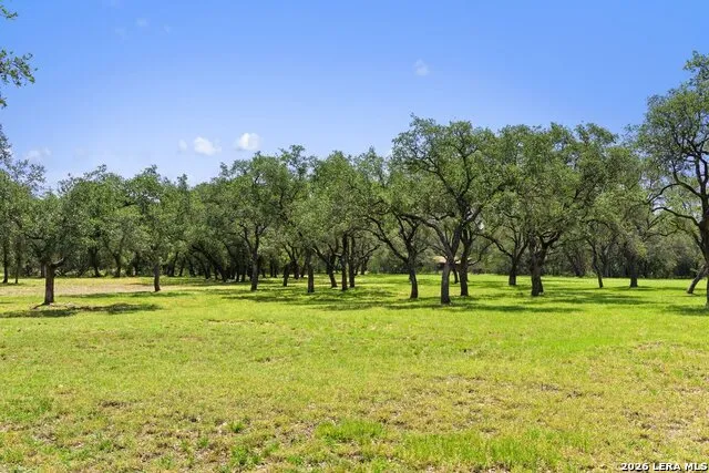 118 CRESTVIEW DR Johnson City, TX 78636
