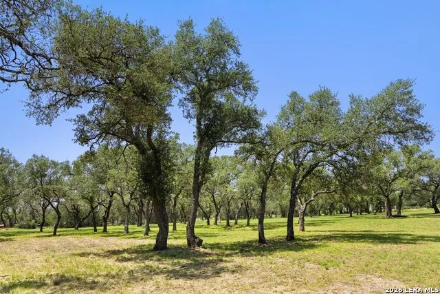 118 CRESTVIEW DR Johnson City, TX 78636