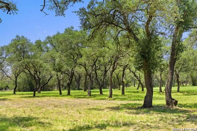 118 CRESTVIEW DR Johnson City, TX 78636
