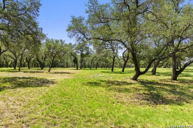 118 CRESTVIEW DR Johnson City, TX 78636