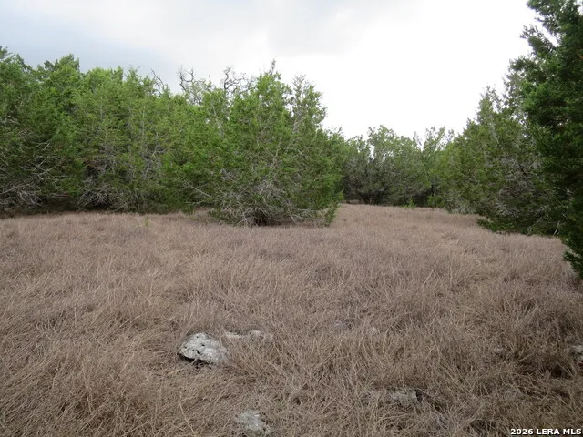 550 Eden Estates New Braunfels, TX 78132