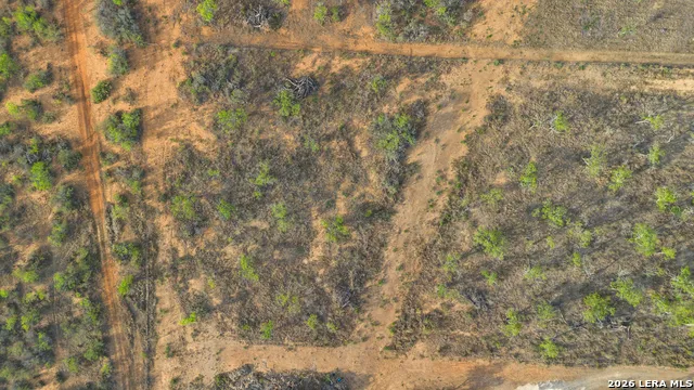 2161 County Road 124 Floresville, TX 78114