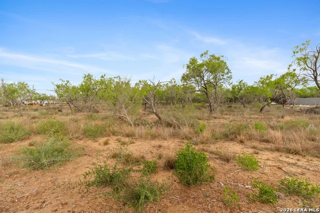 2161 County Road 124 Floresville, TX 78114