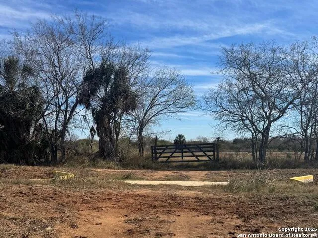 00 WISDOM RD. Lot 19 Atascosa, TX 78002