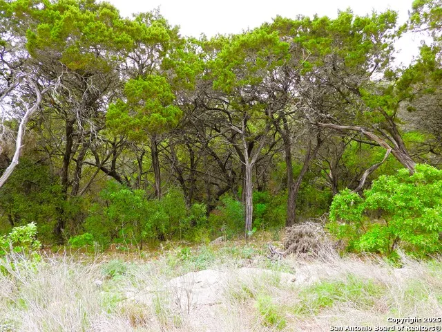 TBD Mountain Drive Lakehills, TX 78063