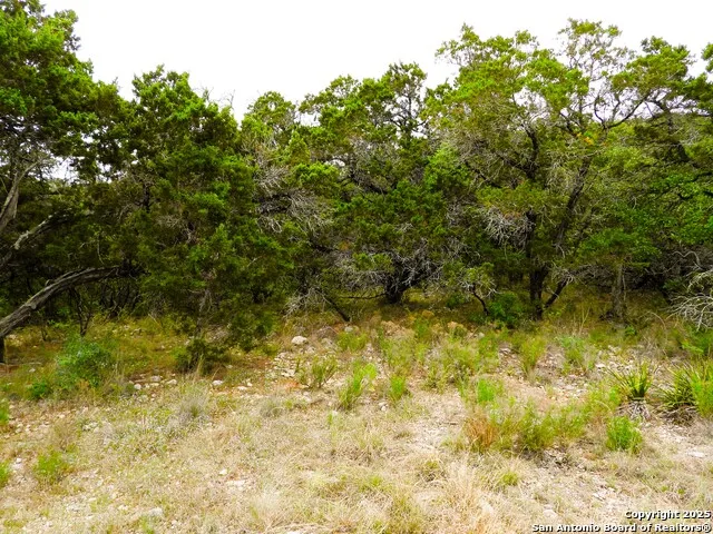 TBD Mountain Drive Lakehills, TX 78063