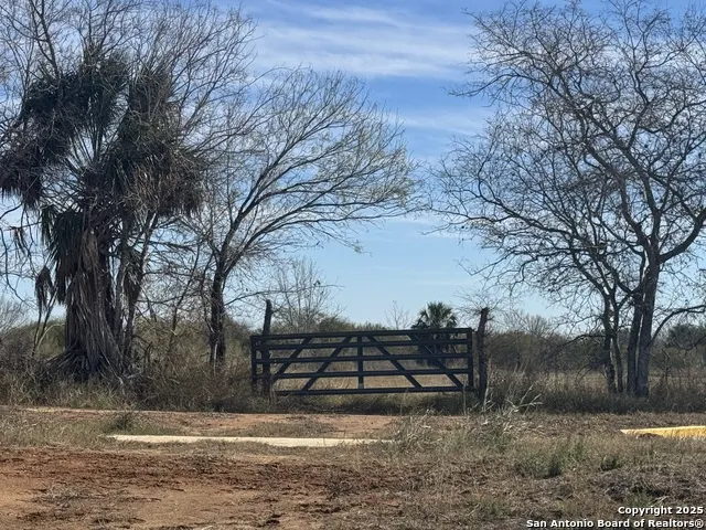 00 Wisdom Rd Lot 17 Atascosa, TX 78002
