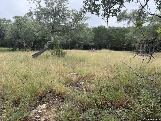 197 Rosenberry Bulverde, TX 78163