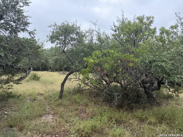 197 Rosenberry Bulverde, TX 78163
