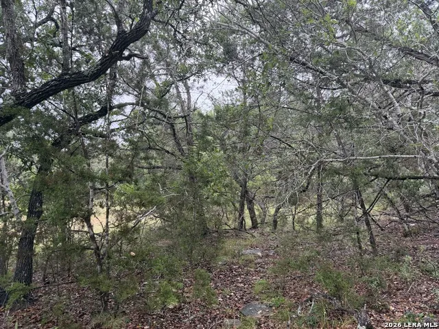 197 Rosenberry Bulverde, TX 78163