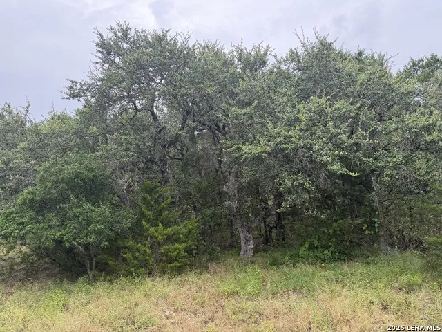 197 Rosenberry Bulverde, TX 78163