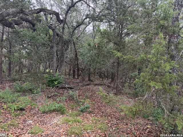 197 Rosenberry Bulverde, TX 78163