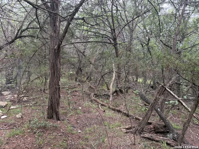197 Rosenberry Bulverde, TX 78163