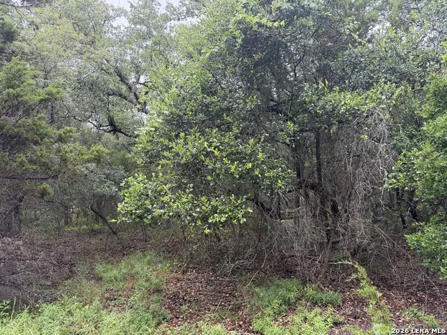 197 Rosenberry Bulverde, TX 78163