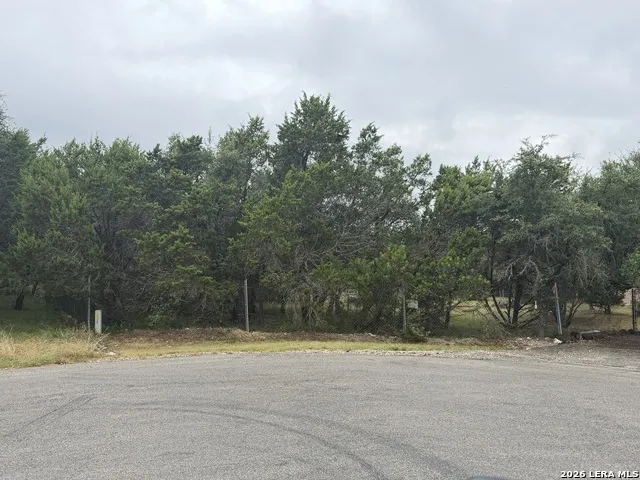 197 Rosenberry Bulverde, TX 78163