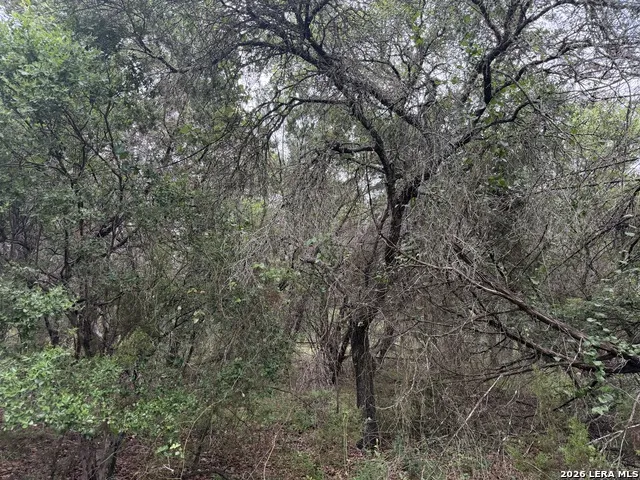197 Rosenberry Bulverde, TX 78163