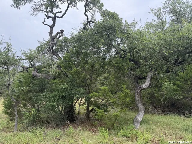 197 Rosenberry Bulverde, TX 78163