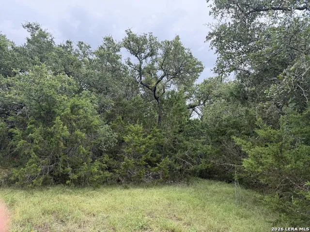 197 Rosenberry Bulverde, TX 78163