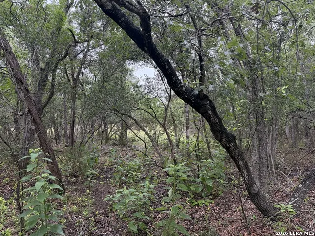 197 Rosenberry Bulverde, TX 78163