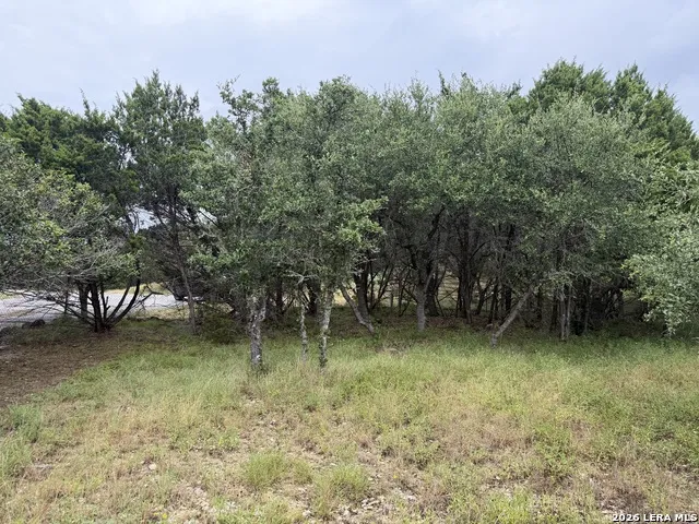 197 Rosenberry Bulverde, TX 78163