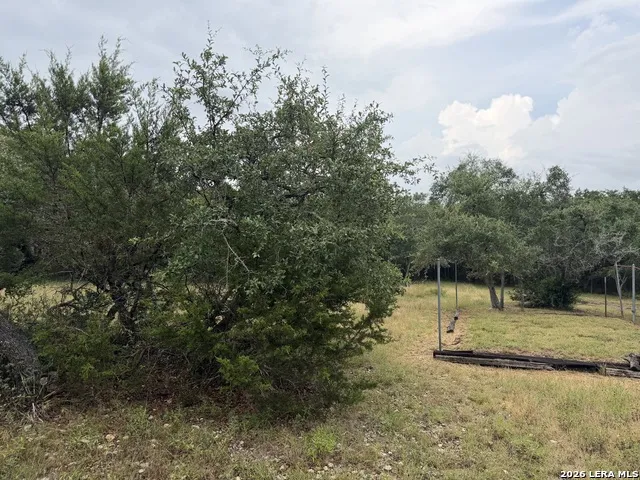 197 Rosenberry Bulverde, TX 78163