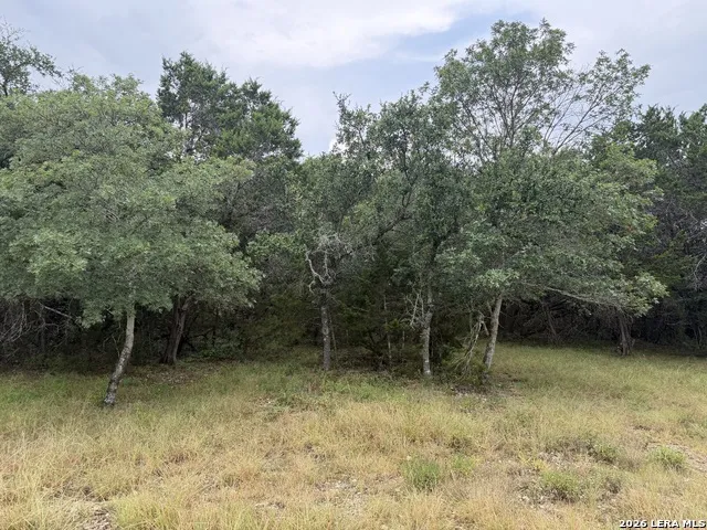 197 Rosenberry Bulverde, TX 78163