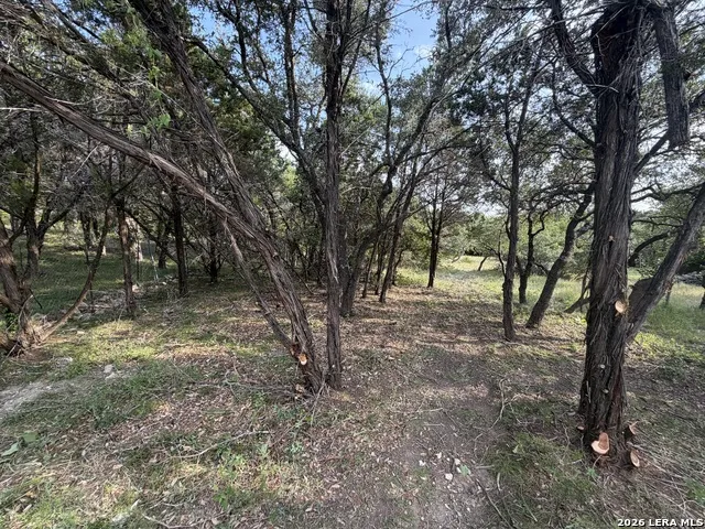 197 Rosenberry Bulverde, TX 78163