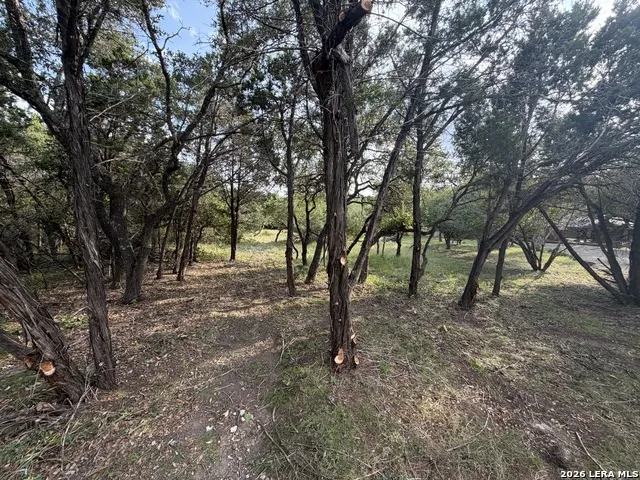 197 Rosenberry Bulverde, TX 78163