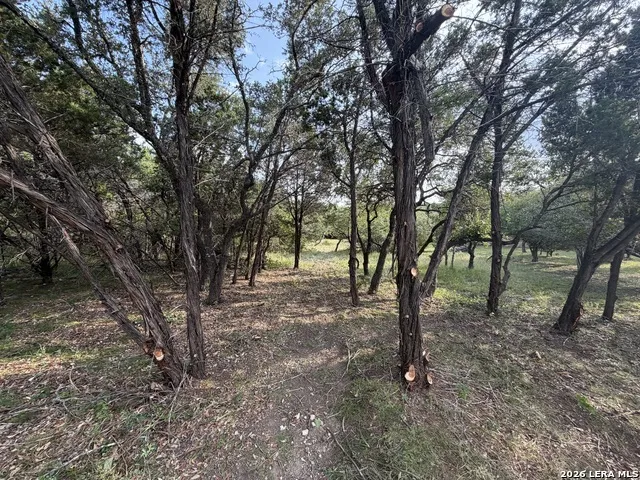 197 Rosenberry Bulverde, TX 78163