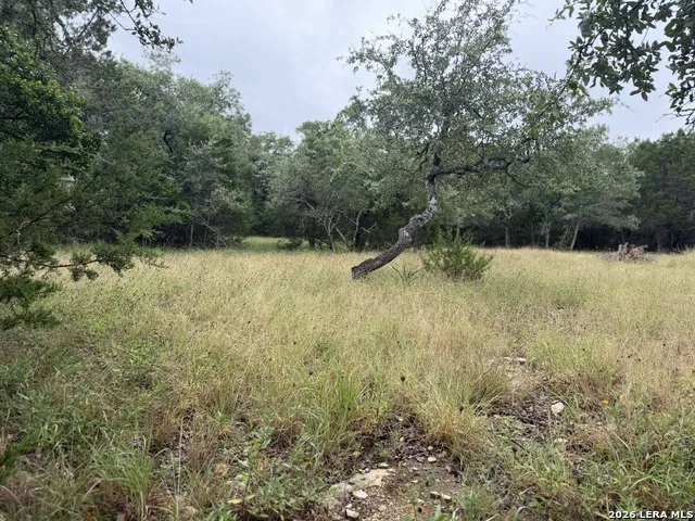197 Rosenberry Bulverde, TX 78163