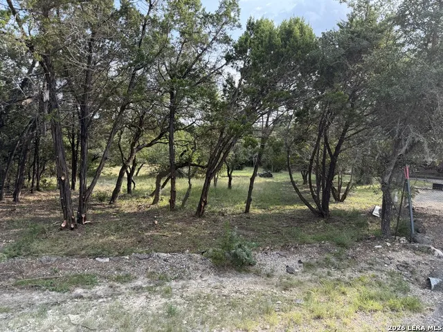 197 Rosenberry Bulverde, TX 78163