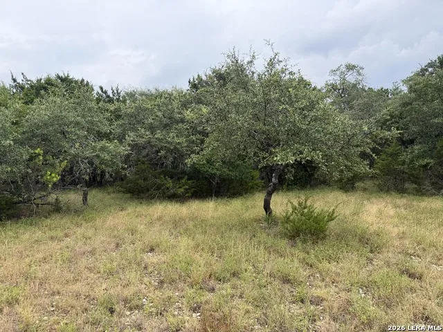 197 Rosenberry Bulverde, TX 78163