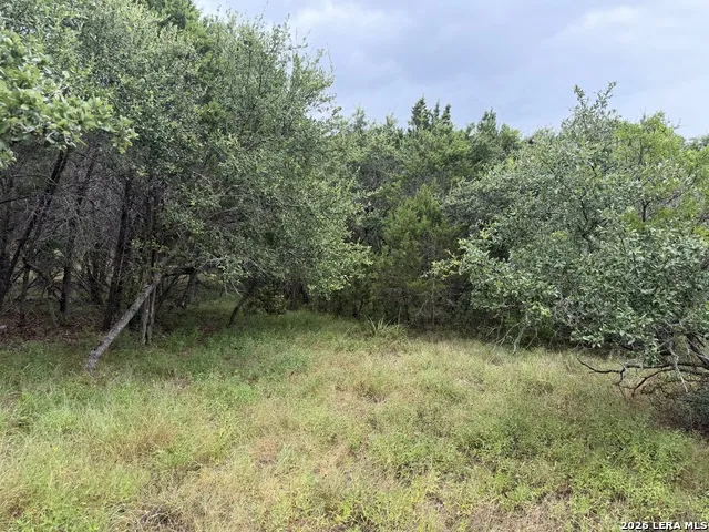 197 Rosenberry Bulverde, TX 78163