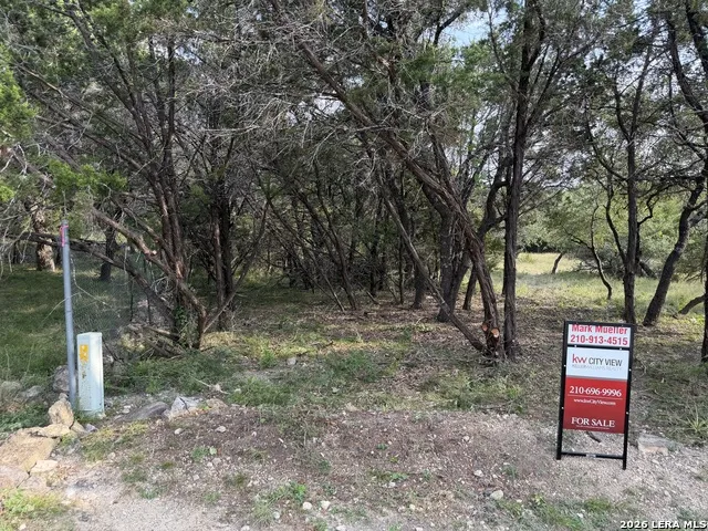 197 Rosenberry Bulverde, TX 78163