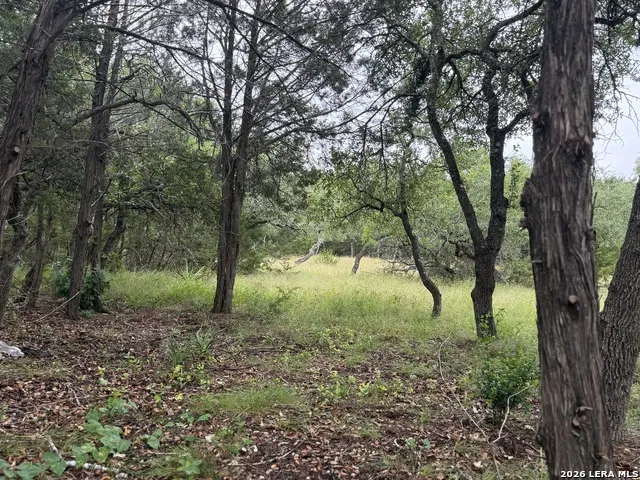 197 Rosenberry Bulverde, TX 78163