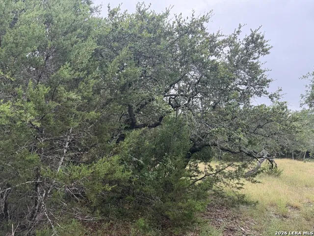 197 Rosenberry Bulverde, TX 78163