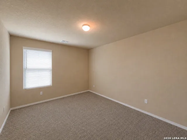 13531 Lily Lane St Hedwig, TX 78152