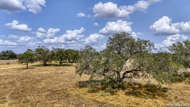8651 W FM 476 Poteet, TX 78065